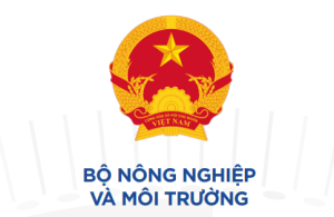 KHÁCH HÀNG TIÊU BIỂU CỦA CLI